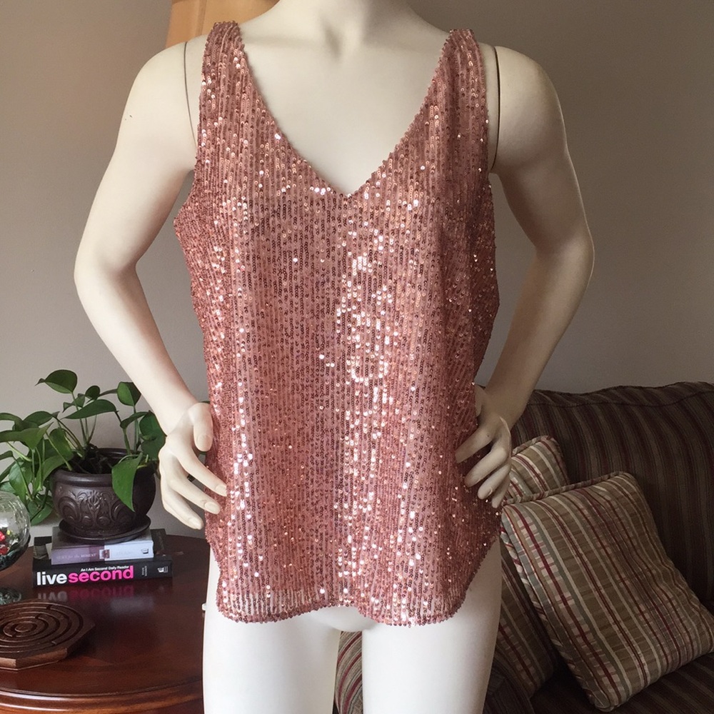 NWT Loft sequined top